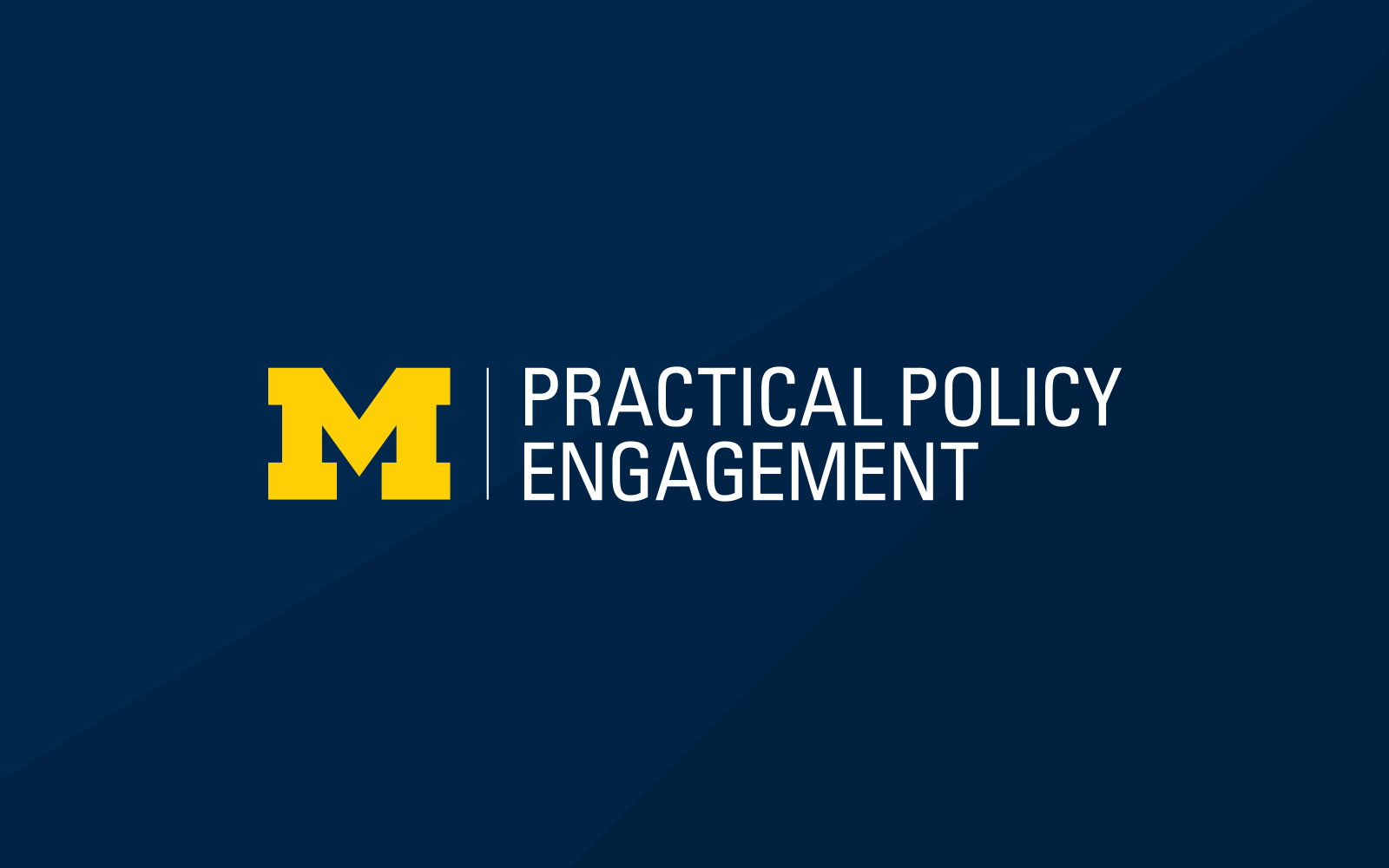 Program in Practical Policy Engagement informal logo