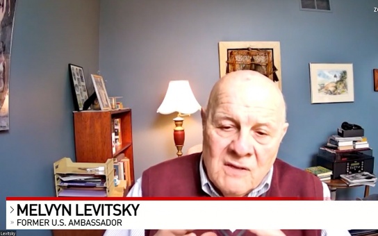 Screen shot of a TV interview with Mel Levitsky
