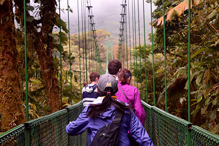 Cloud Forest in Costa Rica