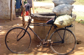 Carrying charcoal to market by bicycle