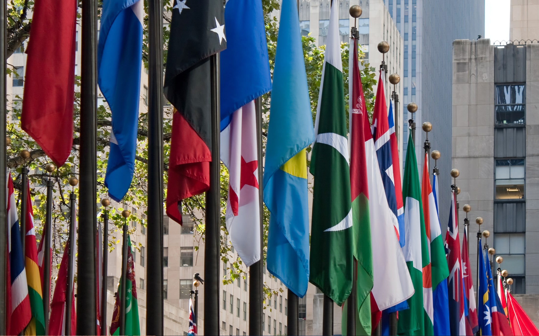 Row of flags outside of United Nations