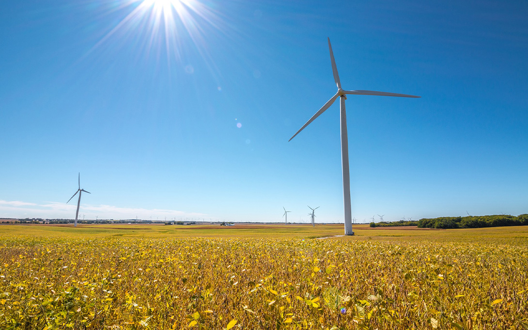 Wind turbines in a field in the Midwest