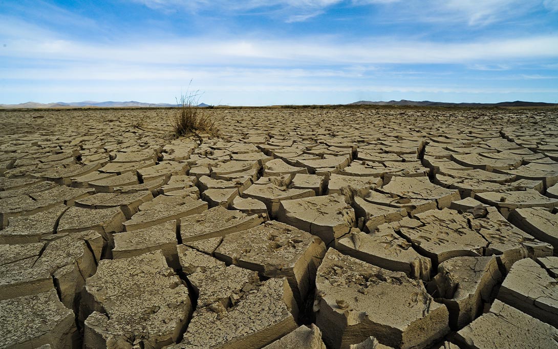 Photo from Mongolia during the dzud. Courtesy Asian Development Bank