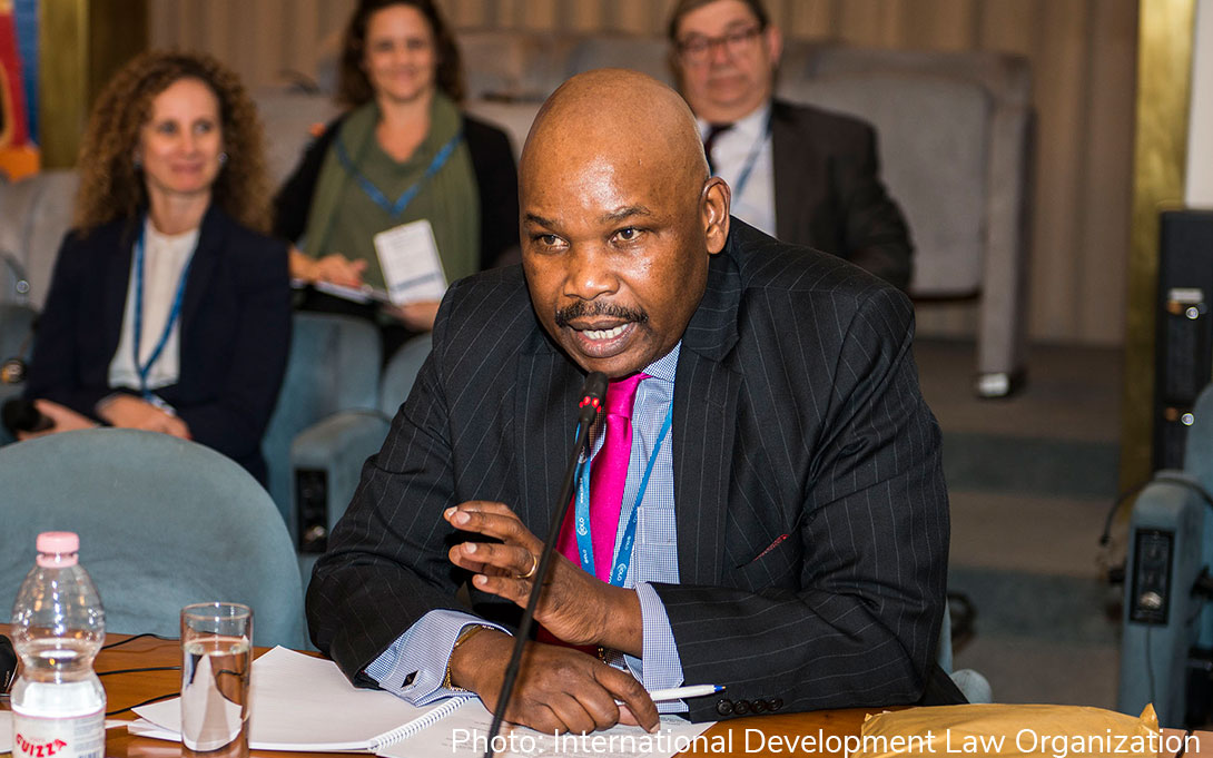 Makua Mutua, photo by International Development Law Organization