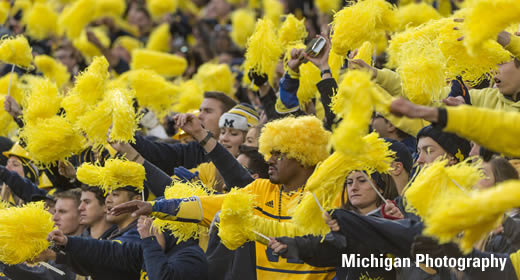 Photo of crowd at Michigan Stadium