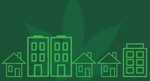 Photo with green background, imprint of a Marijuana leaf, and an illustrated town