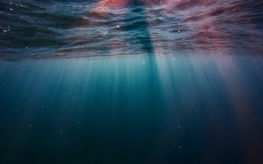 Photo of the surface of the water, from beneath