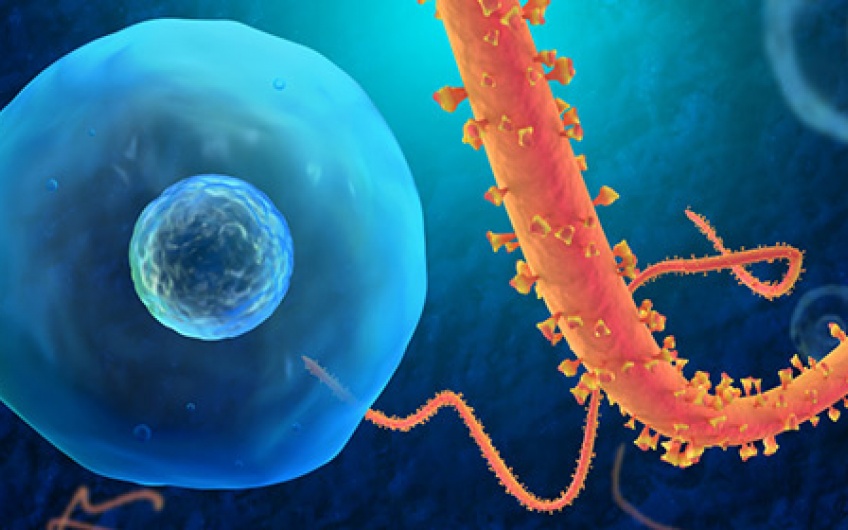 Carl Simon talks Ebola and the power of quarantine image