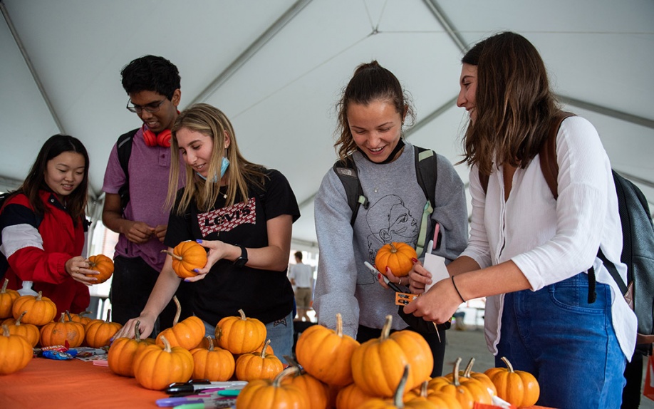 Photo of students gathered around a table of mini-pumpkins and craft supplies