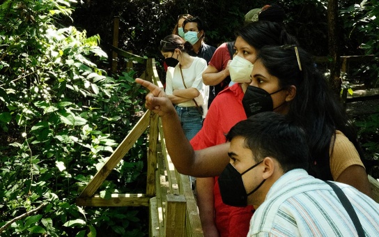 Photo of students Exploring the Bosque La Olimpia rainforest