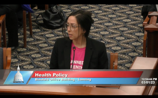 Stephanie Iovan testifies on behalf of Planned Parenthood at Michigan House and Senate