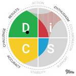 DISC assessment