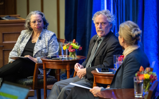 Democracy panel photo