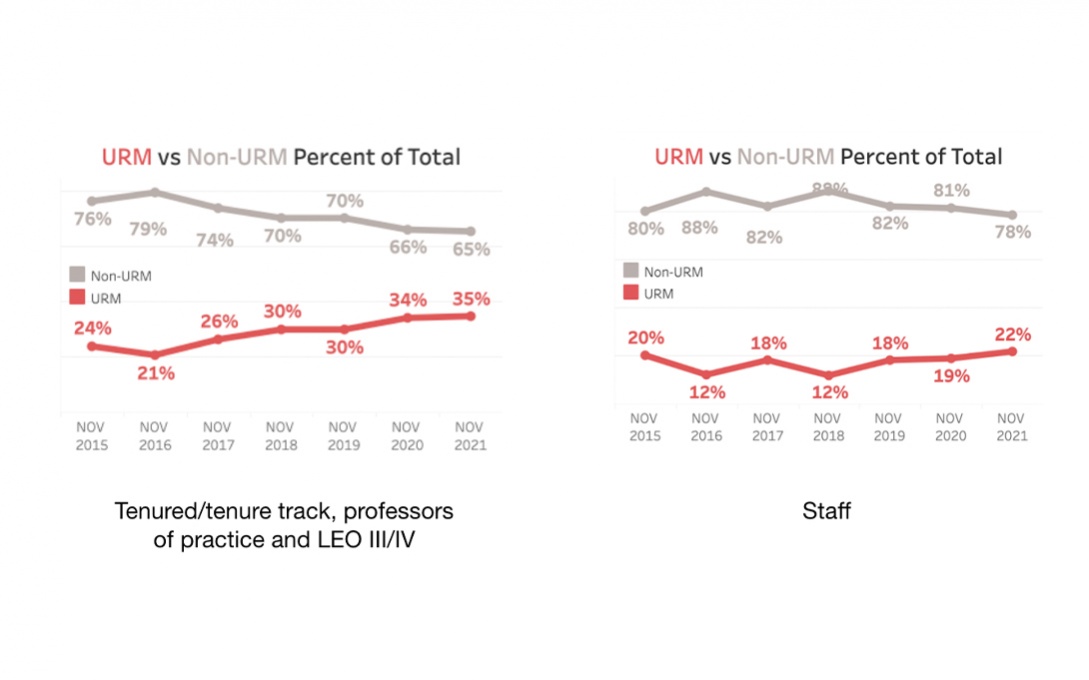 DEI faculty and staff charts
