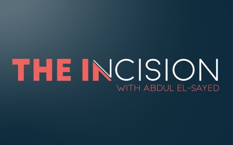 The Incision cover art