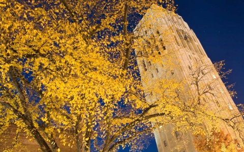 Photo of Burton Tower in the fall against a vivid blue sky